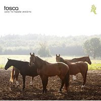Tosca / Pony No Hassle Versions (수입)