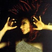Tori Amos / From The Choirgirl Hotel (수입)