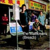 Wallflowers / Breach (미개봉)