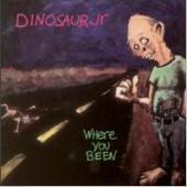 Dinosaur Jr. / Where You Been (수입)
