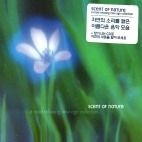 V.A. / Scent Of Nature - A Most Relaxing New Age Collection (미개봉)