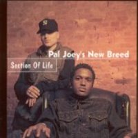 Pal Joey&#039;s New Breed / Section Of Life (수입/미개봉)