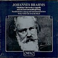 Wolf-Dieter Hauschild / 브람스 : 합창음악 전집 (Brahms : The Complete Choral Works A Cappella And With Instrumental Accompaniment) (4CD Box Set/수입/C026974H)