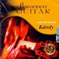Karoly Csecsodi / Flamenco Guitar (수입)