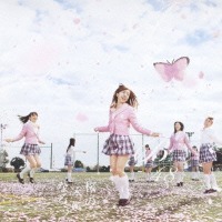 AKB48 / 桜の木になろう (Type-B) (CD+DVD/수입)