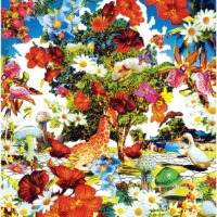 Orange Pekoe / Wild Flowers (CD+DVD/Digipack/수입/프로모션)