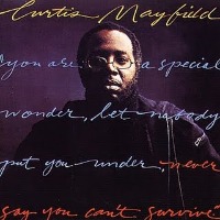 Curtis Mayfield / Never Say You Can&#039;t Survive (일본수입/프로모션)