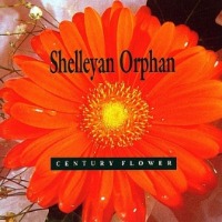 Shelleyan Orphan / Century Flower (수입)