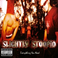 Slightly Stoopid / Everything You Need (수입)