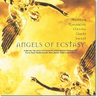 V.A. / 환희의 천사 - 종교 합창 음악 걸작선 (Angels of Ecstasy) (수입/74321698152)