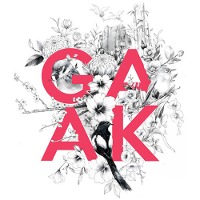 가악 프로젝트 (Gaak Project) / Soar (미개봉)