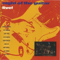 V.A. / Night Of The Guitar (일본수입/미개봉/프로모션)