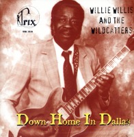 Willie Willis And The Wildcatters / Down Home In Dallas (수입)