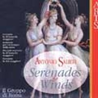 Il Gruppo di Roma / Salieri: Serenades for Winds (수입/473192)