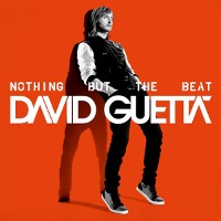 David Guetta / Nothing But The Beat (수입)