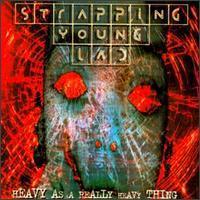Strapping Young Lad / Heavy As A Really Heavy Thing (Bonus Tracks/일본수입)