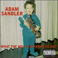 Adam Sandler / What the Hell Happened to Me? (수입)