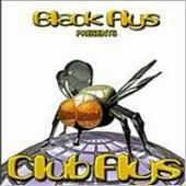 V.A. / Black Flys Presents - Club Flys (수입/미개봉)