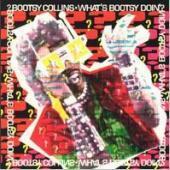 Bootsy Collins / Whats Bootsy Doin? (수입)