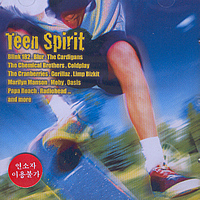 V.A. / Teen Spirit 