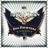 Foo Fighters / In Your Honor (2CD &amp; DVD/Digipack/일본수입/프로모션)