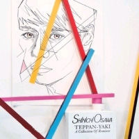 Shinichi Osawa / Teppan-Yaki (2CD/미개봉/프로모션)