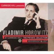 Vladimir Horowitz / 카네기홀 콘서트 (Vladimir Horowitz at Carnegie Hall - The Private Collection 1) (S70366C/프로모션)