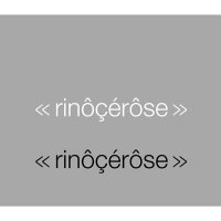 Rinocerose / Rinocerose (Bonus Track/일본수입)