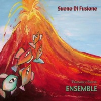 Francesco Pinetti Ensemble / Suono Di Fusione (Digipack/수입)