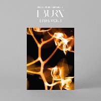 (여자)아이들 / I Burn (4th Mini Album) (불 Ver./미개봉)