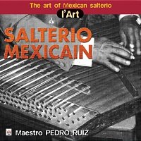 V.A. / The Art Of Mexican Salterio (멕시코 살테리움의 예술) (수입/미개봉)