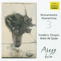 Abegg Trio / 쇼팽 : 피아노 삼중주, 가데 : 노벨레테 (Chopin : Piano Trio Op.8, Gade : Novelletten Op.29) (수입/미개봉/TACET112)