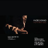Angelo Adamo / My Foolish Harp (수입)