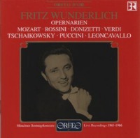 Fritz Wunderlich / 분덜리히가 부르는 오페라 아리아 (Fritz Wunderlich Sings Opera Arias) (수입/C445961B)