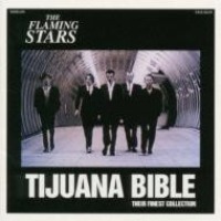 Flaming Stars / Tijuana Bible - Their Finest (일본수입/미개봉/프로모션)