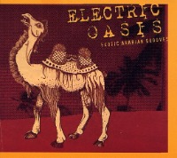 V.A. / Electric Oasis: Exotic Arabian Grooves (Digipack/수입/프로모션)