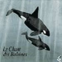 Jean C. Roche / Le Chant Des Baleines - Songs From The Deep (수입)