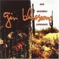 Gin Blossoms / New Miserable Experience