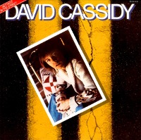 David Cassidy / Gettin&#039; It in The Street (LP Sleeve/일본수입/미개봉/프로모션)