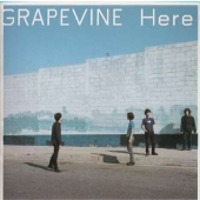 Grapevine / Here (수입)