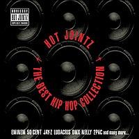 V.A. / Hot Jointz -The Best Hip Hop Collection
