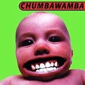 Chumbawamba / Tubthumper