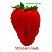 Bob Belden / Strawberry Fields