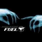 Fuel / Natural Selection (수입) (B)