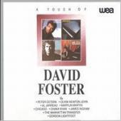 David Foster / A Touch Of David Foster (B)