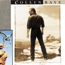 Collin Raye / In This Life (수입)