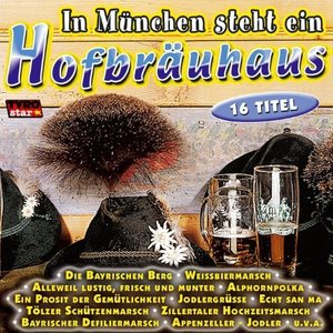 Diverse Interpreten / In Munchen Steht Ein Hofbrauhaus (수입/미개봉)