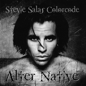 Stevie Salas Colorcode / Alter Native (일본수입)