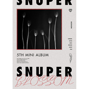 스누퍼 (Snuper) / Blossom (5th Mini Album) (미개봉)