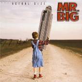 Mr. Big / Actual Size (미개봉)